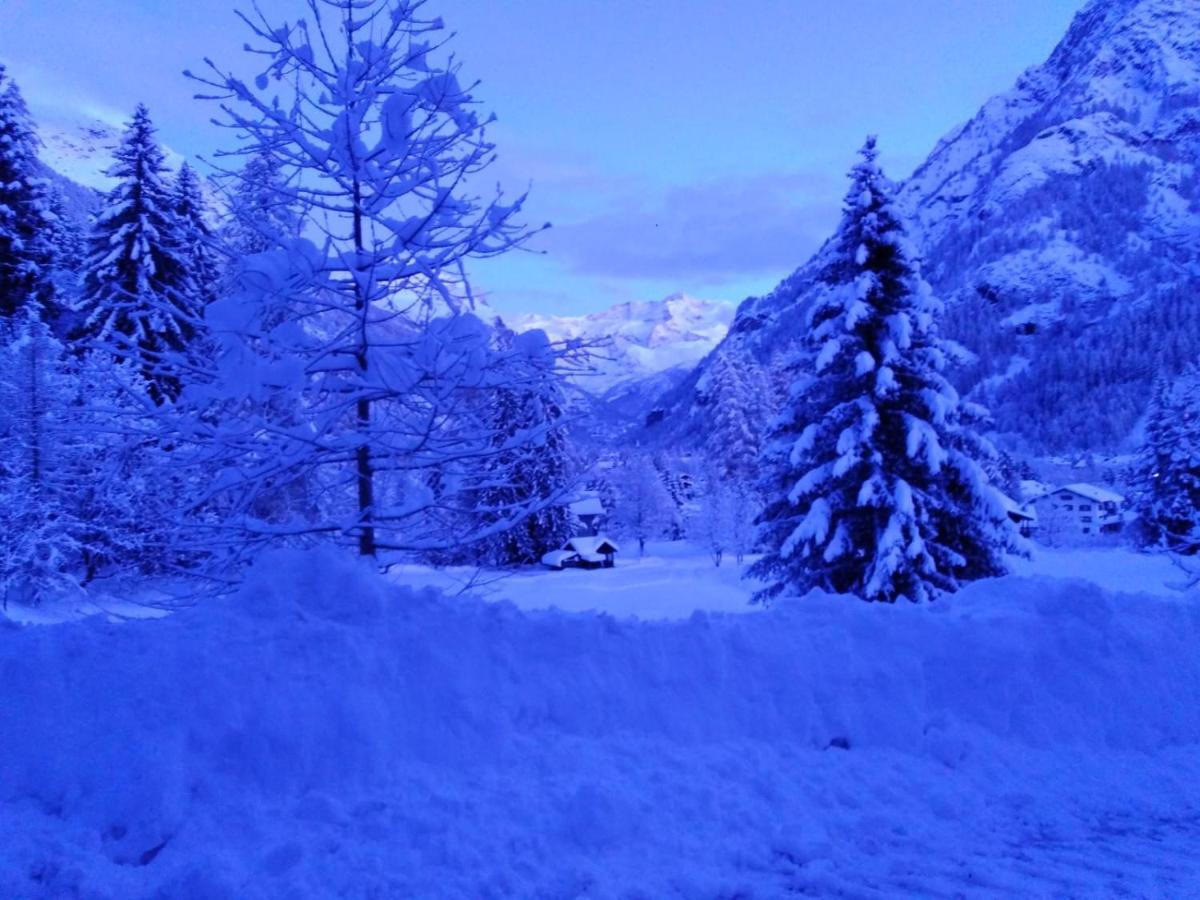 Appartement Quadrifoglio Gressoney-Saint-Jean Exteriér fotografie